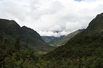 Cayambe Coca Reserve