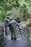 Anhinga Trail