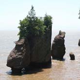 Hopewell Rocks