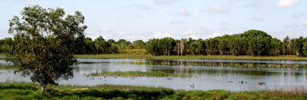 McMinn's Lagoon